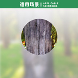 Мазок на рану растения Фубикан, заживление, запечатывание, склеивание коры, некроз фруктовых деревьев, склеивание, гниль, мазок, срез, распил