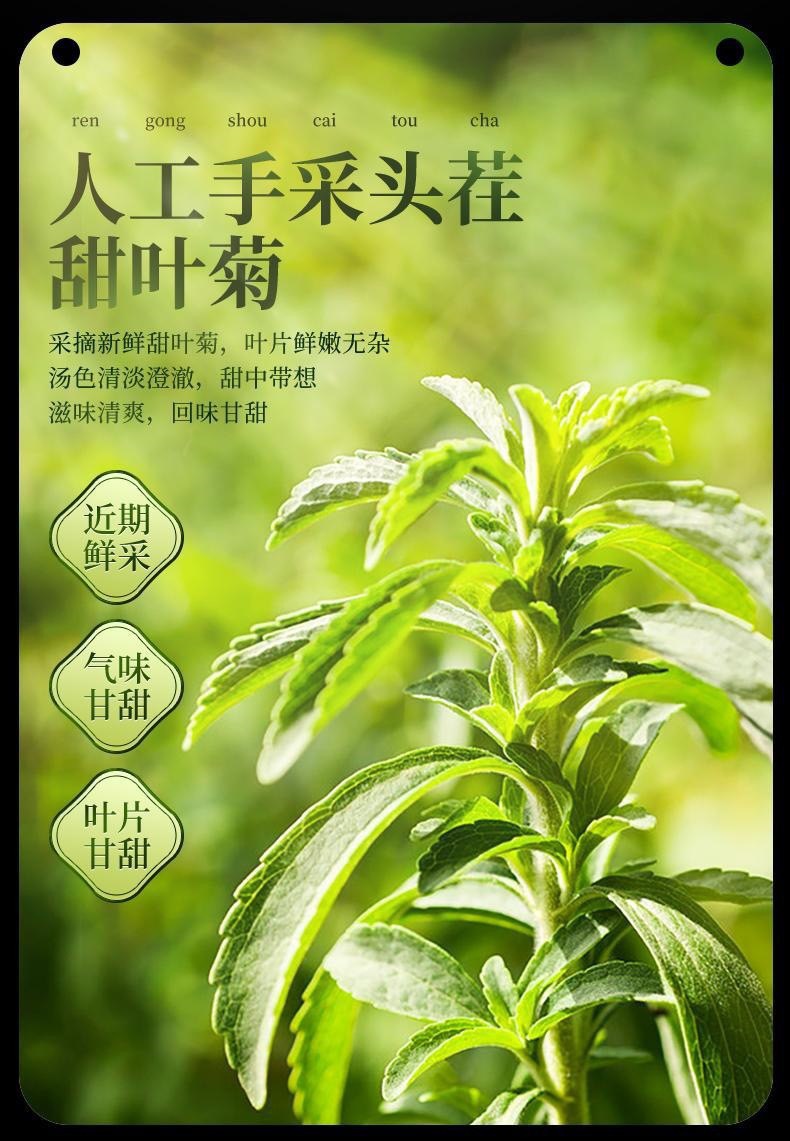 Stevia Leaf Tea Tian Ye Ju 15g Canned Loose Herbal Tea Sugar-Free Cold Brew Sweetener key features