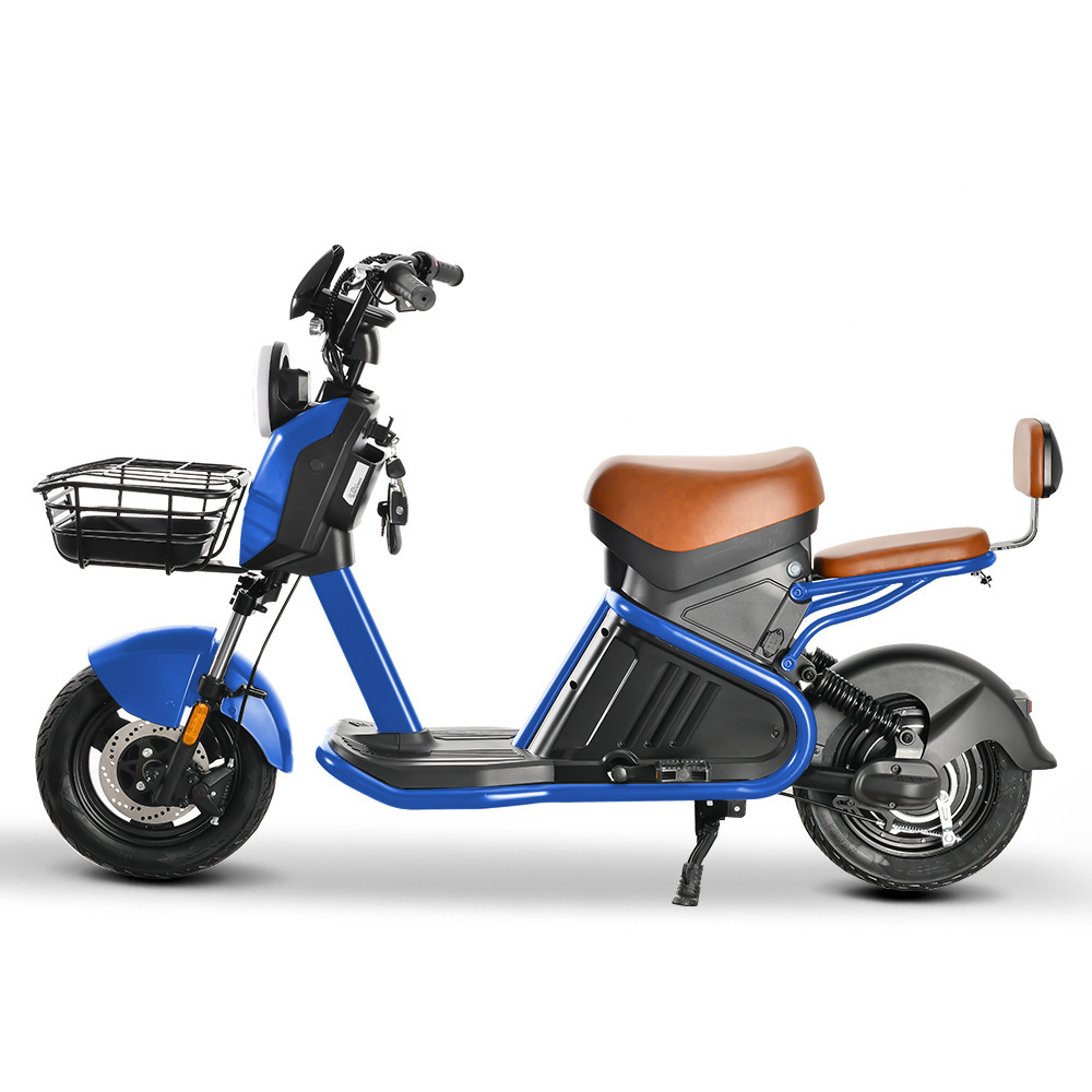 800W National Standard Adult Mobility Scooter Lithium Battery Vehicle Detachable Two-Wheeled Motorcycle Wd-2 Electric Vehicle Lithium Battery