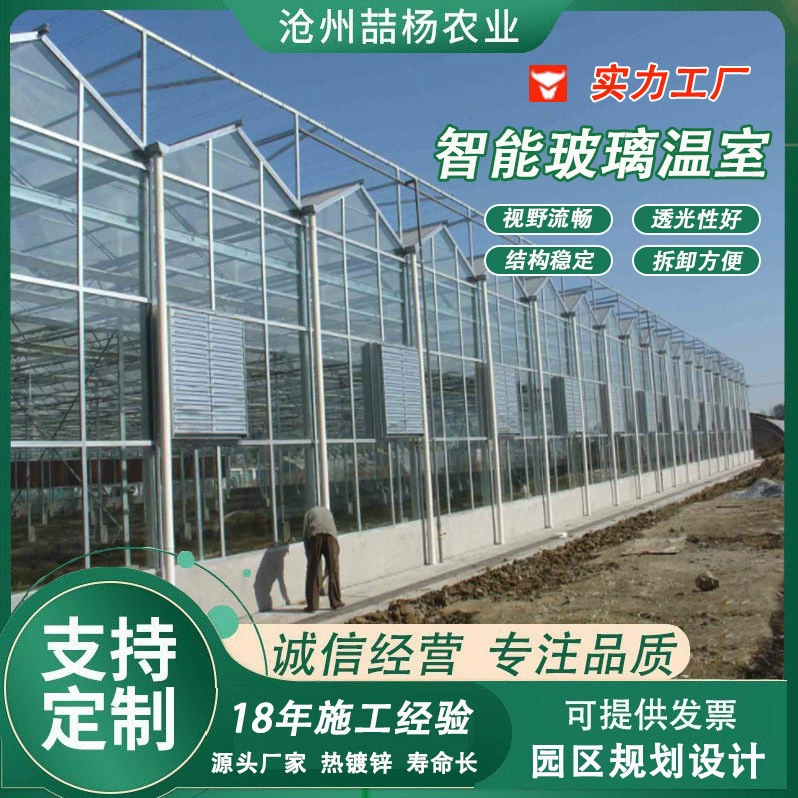 Многопролётная стеклянная теплица, стеклянная теплица для научных исследований, многопролётная стеклянная теплица