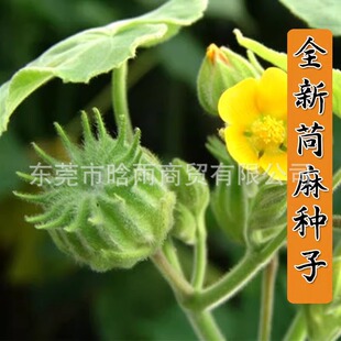 ����N������N��Ұ�r�龀������N��С���������K�N��������N��