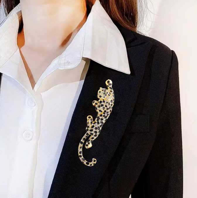 fashionable universal brooch for men and women