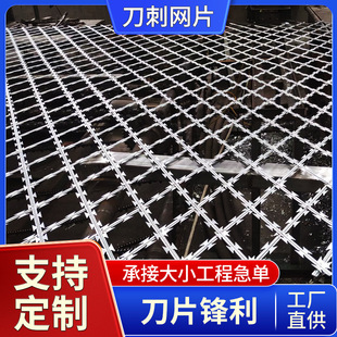 ���ƺ��ӵ�Ƭ�̾W���P����ε�Ƭ�̾W��Ƭ�̽z߅�������������̾W