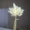 Rabbit tail white 20 bunch