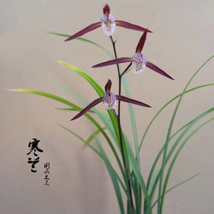 ���~���m�m���罨�mī�m��ޥ�m�ļ��m�̨�͏d�k���ҾGֲ����