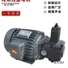 Һѹ��� �ڲ�ʽ����ͱ��� 0.75KW/1.5KW/2.2KW��VP20/VP1��̫��