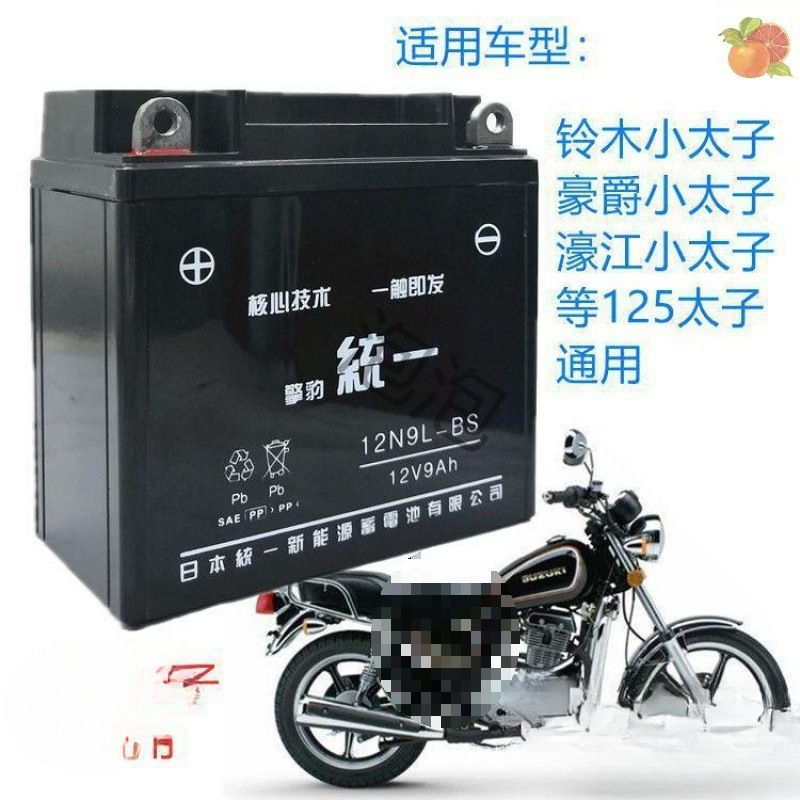 豪傑鈴木GN太子HJ125-8メンズバイクメンテナンスフリーバッテリー12v9aドライバッテリー|undefined