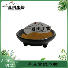 草苁蓉提取物 10/20/30/50:1规格 列当提取物 夏州生物 原料供应