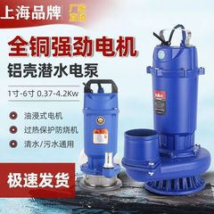 上海人民款220v潜水泵水泵清水泵农用灌溉家用扬程流量抽水抽水泵