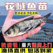 ����䁟��N��������������~����惞�x���]���|���^�I�~�絭ˮ