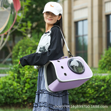 �������͸��͸������̫��œ؈��������������������؈�����l