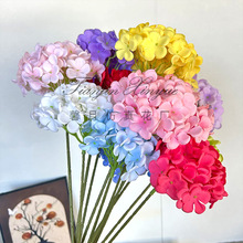 ��c���滨��֧72Ƭ�����ǽ����c�ٻ�·���廨��Y�͏d�[���b�