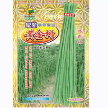 �T�����S��ԭ�b�߲˷N��ϲ�������s���S�������L������������