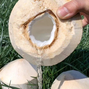 ������Ҭ�ࡿ���r����Ҭ֭������Ҭ�ӷ�̩��Ҭ��9�����rˮ�����l