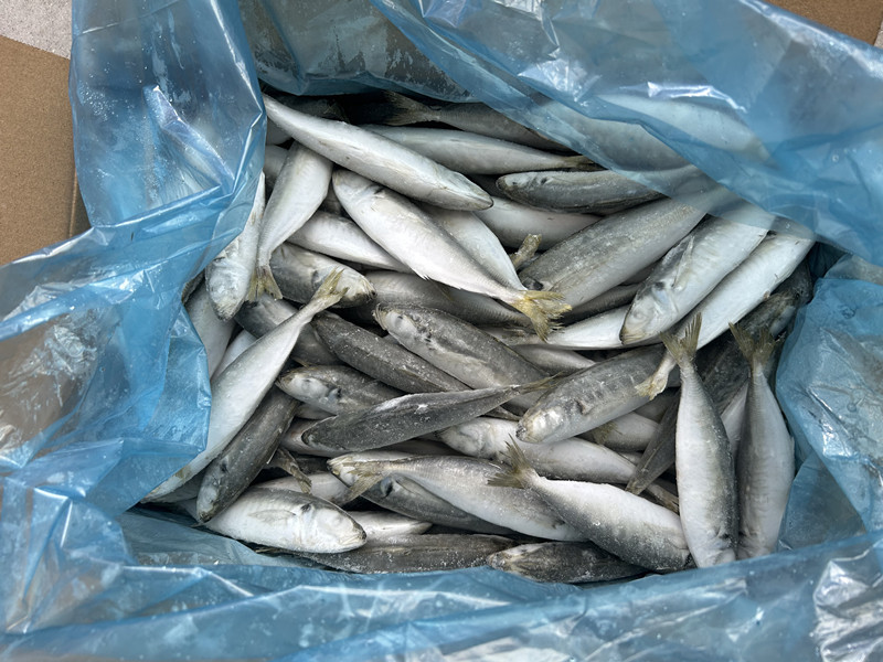 微信图片_20230823160140