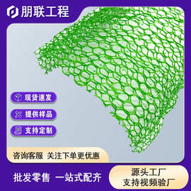 三维植被网 河道护坡植草土工网垫 喷薄草籽边坡绿化三维网