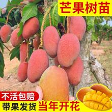 â������޽ӽ��â�ļ�â�����t�F������Y��ͥԺ�̨���Ժ��B