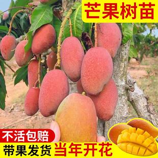 â������޽ӽ��â�ļ�â�����t�F������Y��ͥԺ�̨���Ժ��B