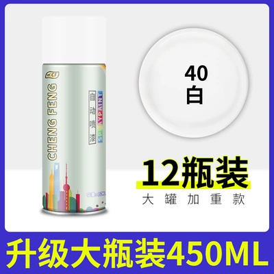 Special Paint Spray Can — Avtomobil boya qələmləri - white-12-bottles-full-box-wholesale-price