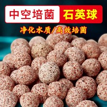 {пʯӢ~מV^Vմɭhht