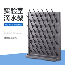 跨境爆款 实验室专用单面滴水架批发壁挂 实验室高密度pp滴水架