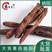 锁阳个新疆整个锁阳条一公斤、批发零售量大从优初级农产品锁阳个