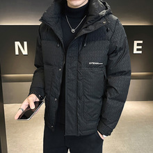 �羳������ʽ��q������2025���¿���n���Bñ�\��