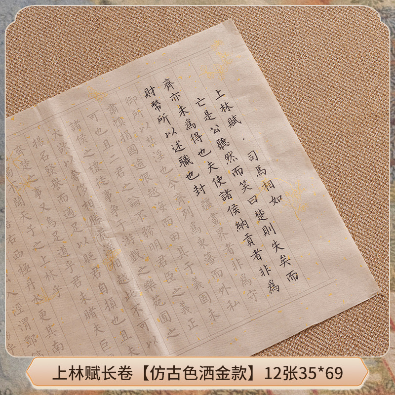 Shanglin Fu [골드 도금 앤티크 모델] 12장 34*69 - 모란디 소프트 펜 + 잉크백 20개