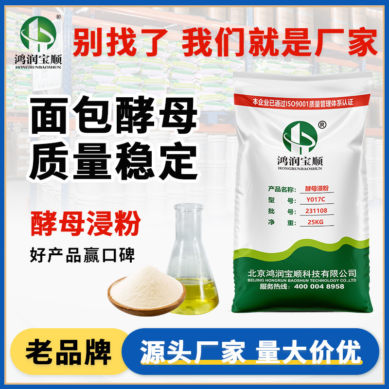 Yeast Extract Powder Manufacturer Wholesale Industrial Fermentation Strain Culture Bread Yeast Large Quantity and Excellent Price Yeast Extract Powder