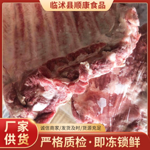 �S���N�ۃ��iǰ�� �����i�Ź� 20��ȥ�iǰ�� �����lȥ�iǰ��