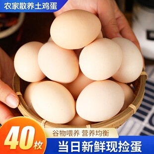 �����r��ɢ�B���u��40ö���r������u���F��F�l�������I�B���