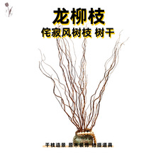 L֦֦bɘ֦쾰֦廨[ɻԭľ֦l