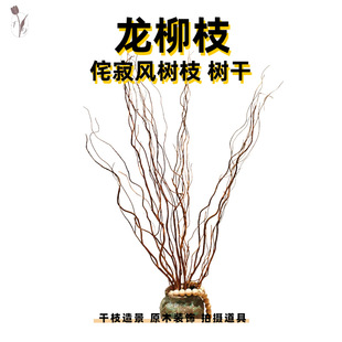 �����L��֦��֦����bɘ�֦�쾰������֦�廨�[���ɻ�ԭľ֦�l