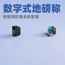 模拟式电子汽车衡称重管理系统 数字式地磅称物联网称重系统管理