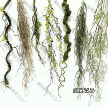 ̦�\���ٿ���ɭϵ�쾰�b[�ż��ٗl��̦�ٴ�����И�֦��ˇ