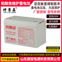 ������³ɭTLS100-12NǦ������12V100AH����UPS����ϵ�ԴEPS��