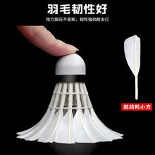 �����\������ë��С���w��j5�ʹ򲻠���������ָ�ë�������o