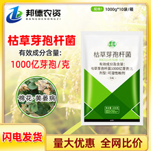 SݲѿߗU٘޻Sήkuiԭrș