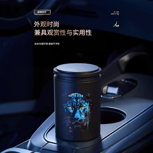 Portable Car Ashtray, Special for Use in the Car, Prevents Ash from Falling, Portable Travel Ashtray, Wholesale