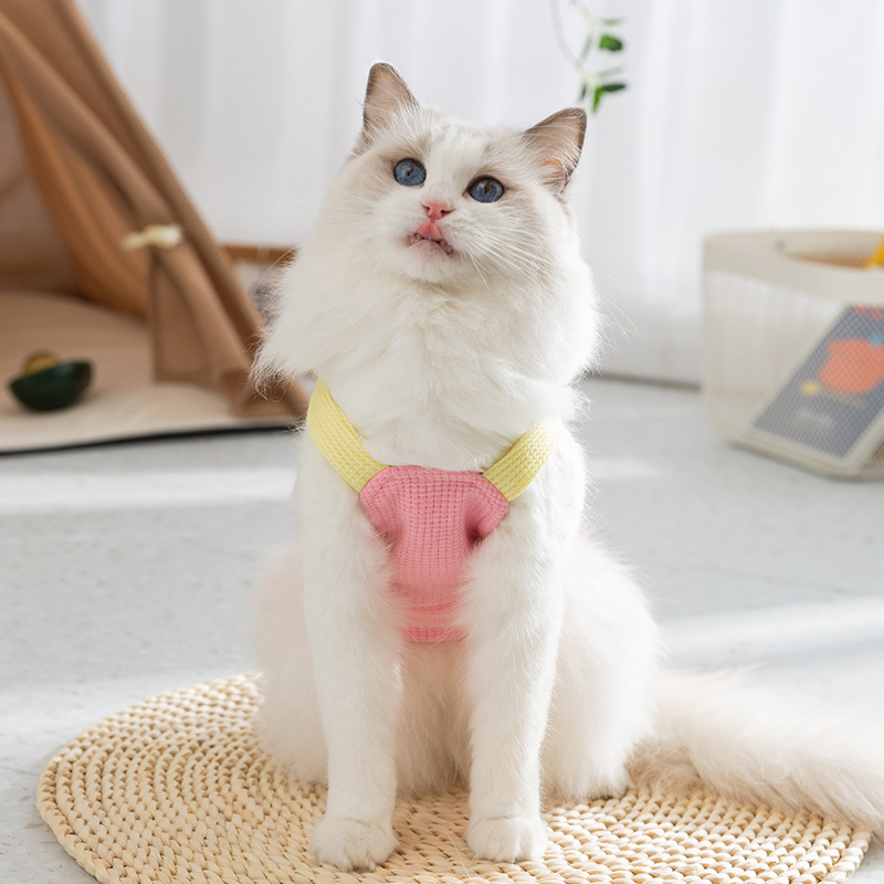Gato primavera y verano de dos patas bebé macarón bolsillo de tracción cabina perros pequeños y medianos perros Teddy ropa de mascotas