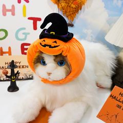 ペット帽子ハロウィン面白い犬カボチャ帽子犬コスチューム猫変換ヘッドギアメーカー卸売猫用品