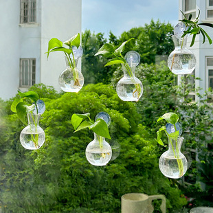 Creative DIY Hydroponic Pothos Plant Bottle Home Indoor Hanging Decoration Small Fresh Acrylic Vase