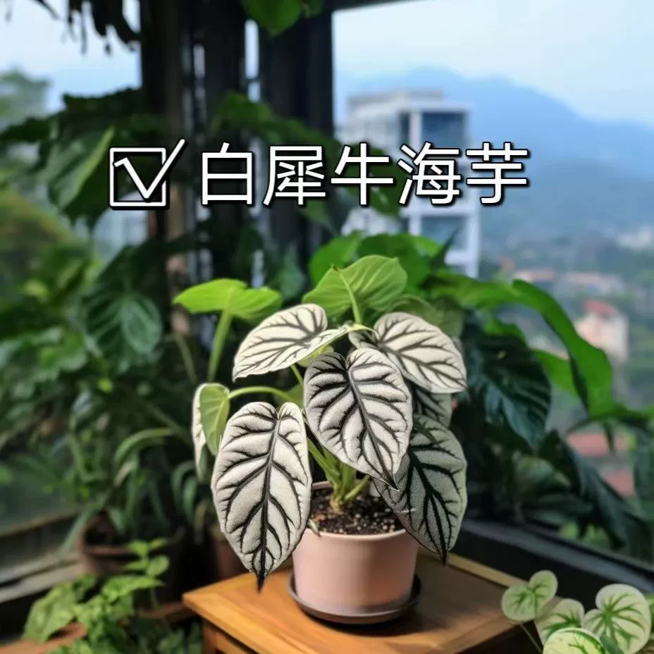 Белый носорог Арум в горшке крытая гостиная столешница высокого класса для очистки воздуха наружная радиационно-защитная зеленая посадка