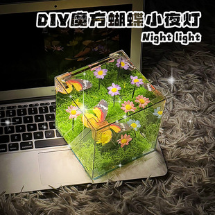 Little Red Book's Same DIY Handmade Material Package Wizard of oz Spring Butterfly Night Light as a Holiday Gift for Girls