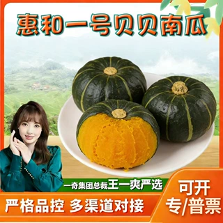 山东惠和一号贝贝南瓜 代发3斤粉糯小南瓜当季新鲜蔬菜