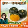 山东代发新鲜小南瓜粉
