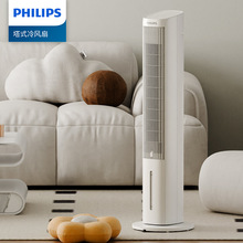 ������2025�¿���Ҷ���ȼ������Ҵ������������ȿ�����ʽ2142TV