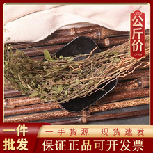 1000g瓜子金中药材现货批发零售新货源头厂 瓜子草 挂米草 辰砂草