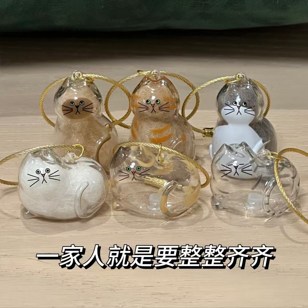 Caja de almacenamiento de pelo de gato transparente llavero Cápsula de almacenamiento de pelo de gato de alto valor colgante Caja de almacenamiento de pelo de mascota