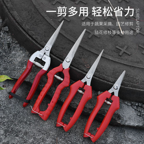 Manufacturer stainless steel pruning scissors, fruit picking scissors, vegetable and fruit scissors, grape scissors, thin fruit scissors, citrus grape scissors